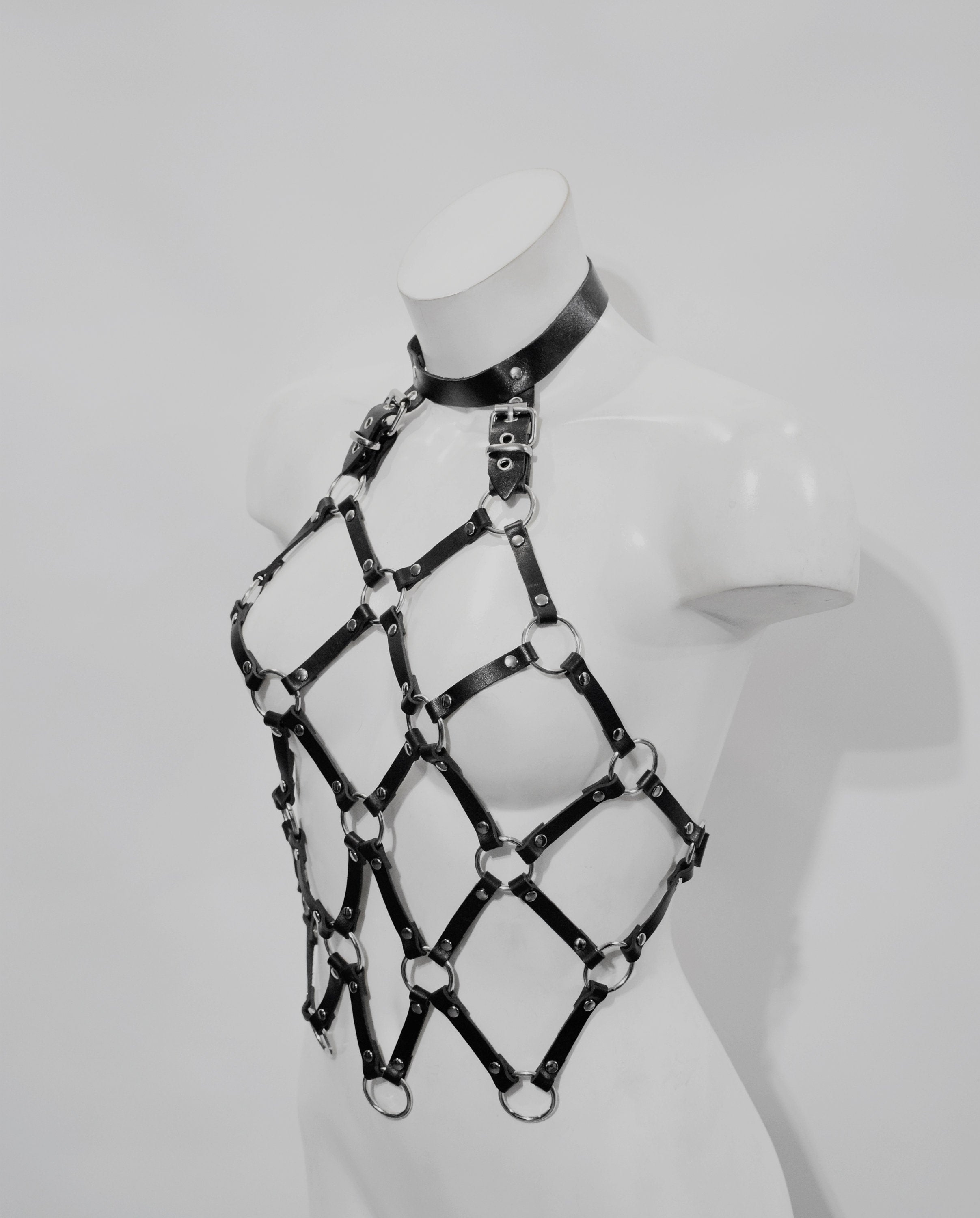 WARRIOR CAGE HARNESS