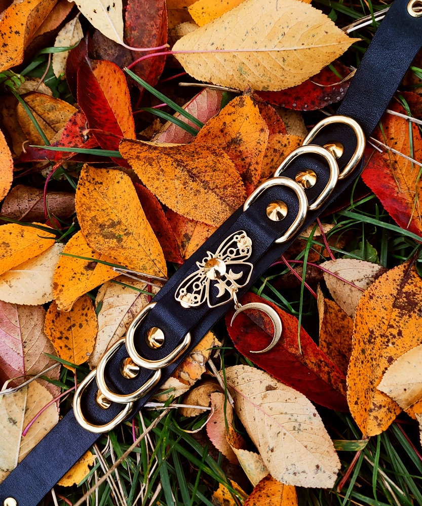 ASCALAPHA choker