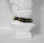 ASCALAPHA choker