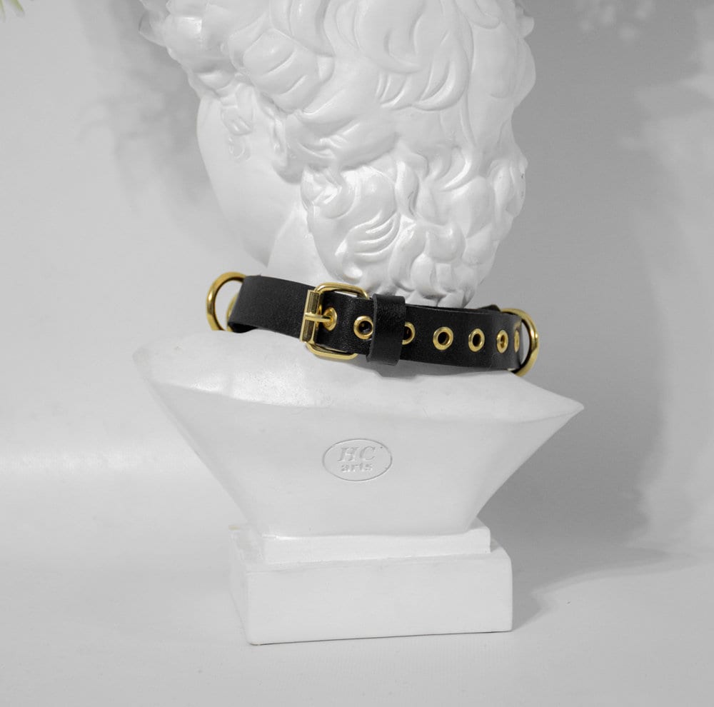 ASCALAPHA choker
