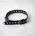 EYELET CHOKER: Unisex leather collar with eyelets and buckle closure