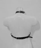 WARRIOR CAGE HARNESS