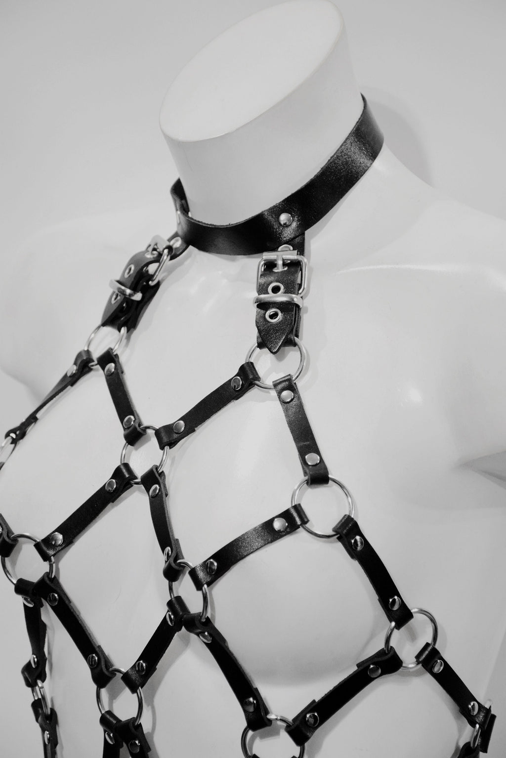 WARRIOR CAGE HARNESS