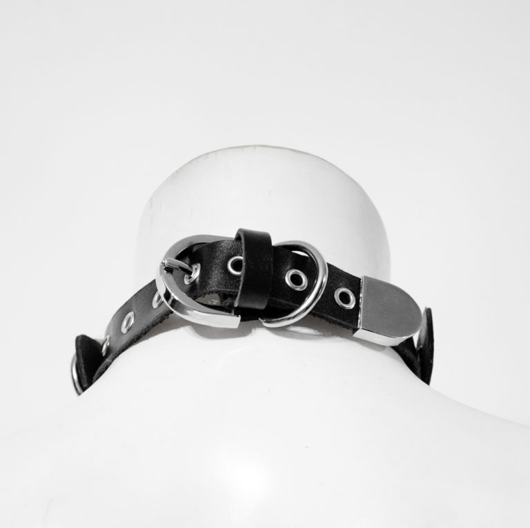 natural leather collar with buckle and eyelets