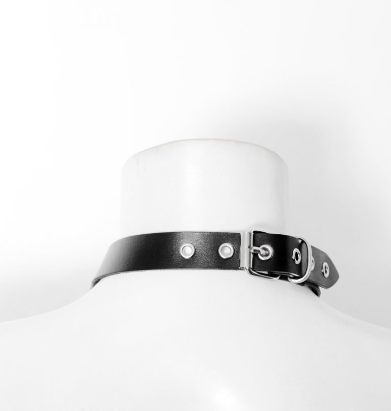 leather collar with buckle on the neck